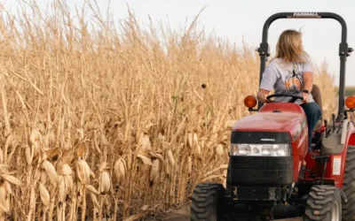 What Happens at Pope Farms During the Summer? (A Sneak Peek at Our Fall Attractions!)