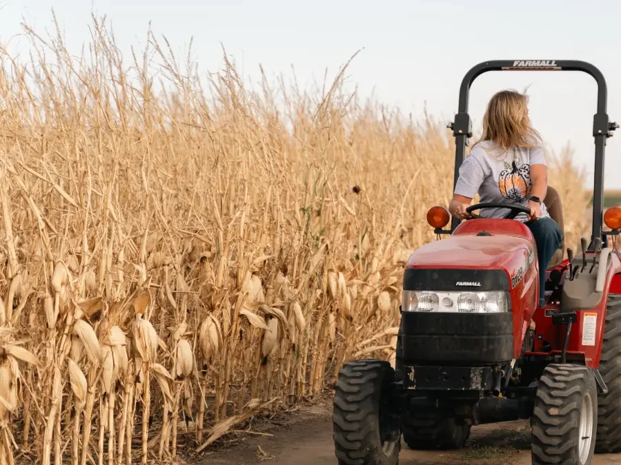 What Happens at Pope Farms During the Summer? (A Sneak Peek at Our Fall Attractions!)
